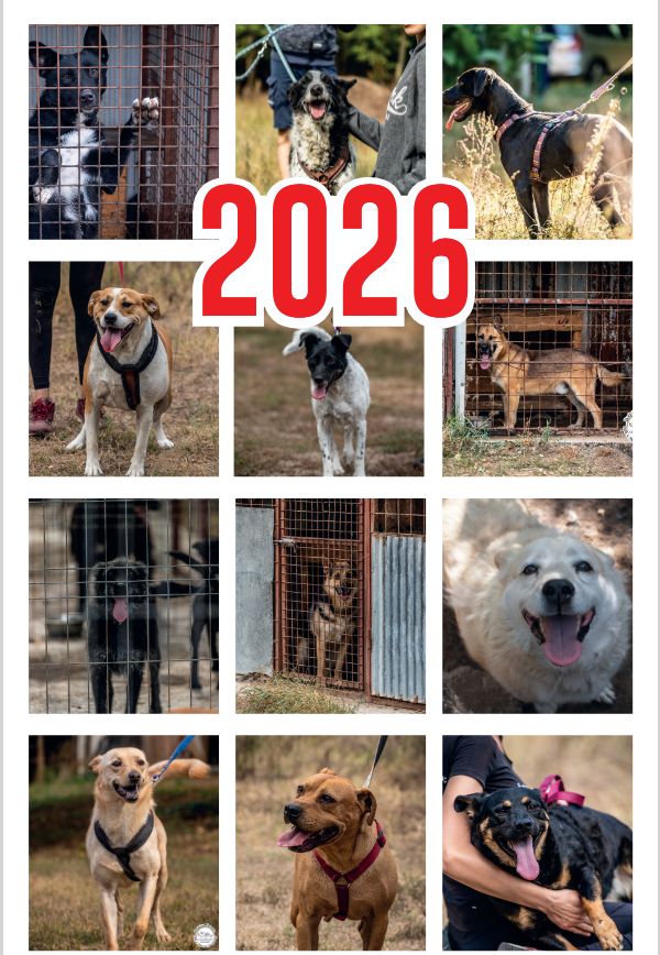 Falinaptár kutya 2026. év - 450 x 315 mm